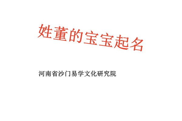 逊克姓董的宝宝起名高分名字